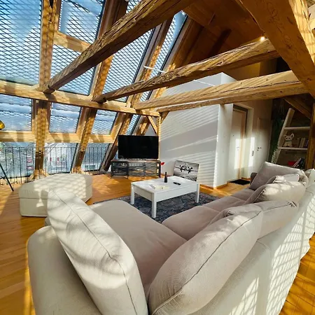 Schwarzwald Mauer Loft 아파트 브라운린겐