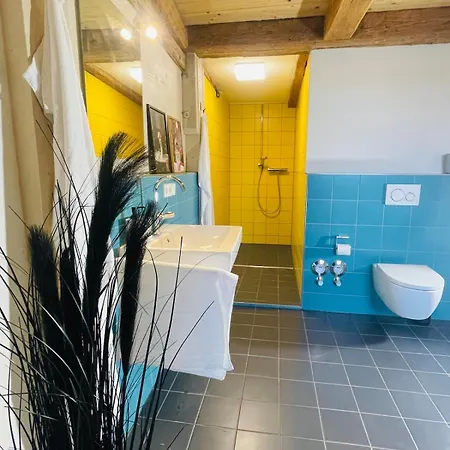 Schwarzwald Mauer Loft 아파트 브라운린겐