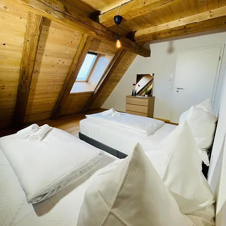 Schwarzwald Mauer Loft 아파트