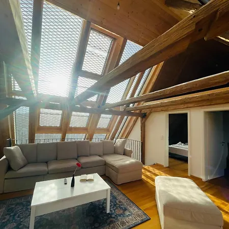 Schwarzwald Mauer Loft 아파트 *