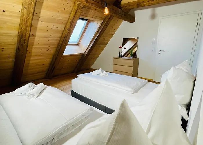 Schwarzwald Mauer Loft Apartment